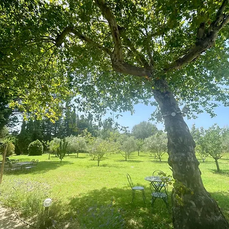 Bed & Breakfast Domaine Au Coeur Des Alpilles Maussane-les-Alpilles
